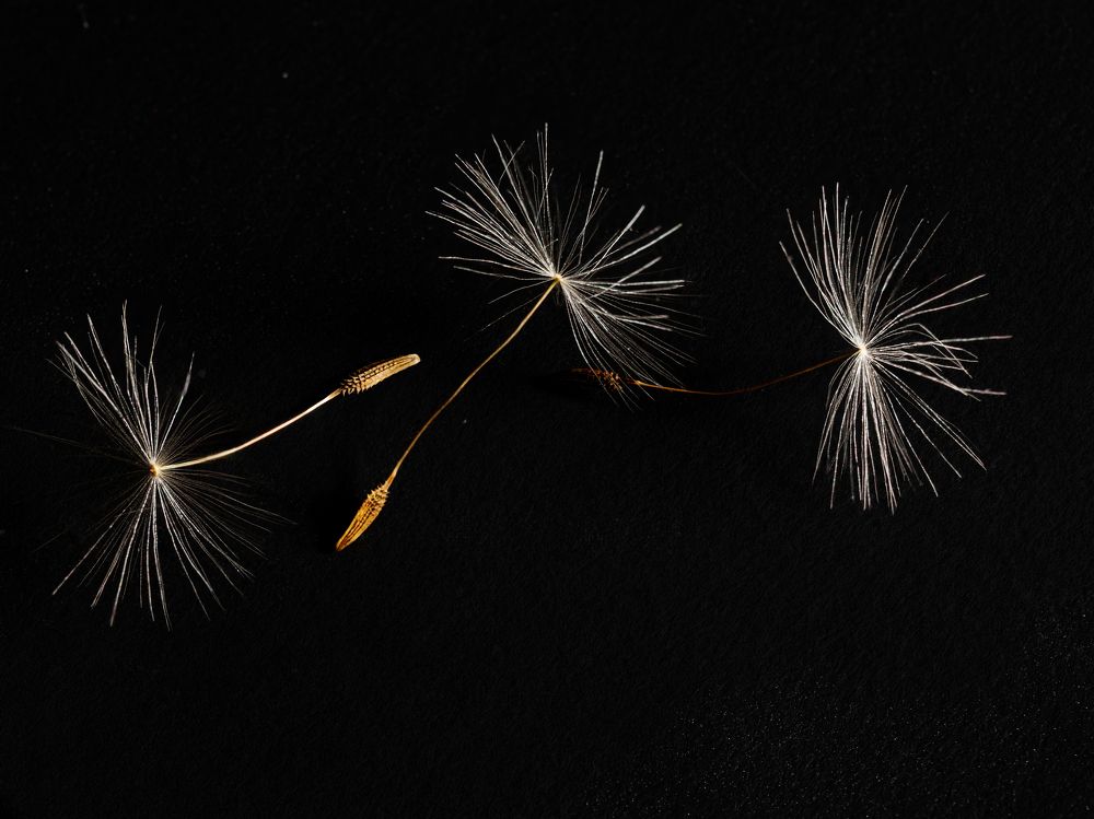 Photograph by Aleksandr Belov