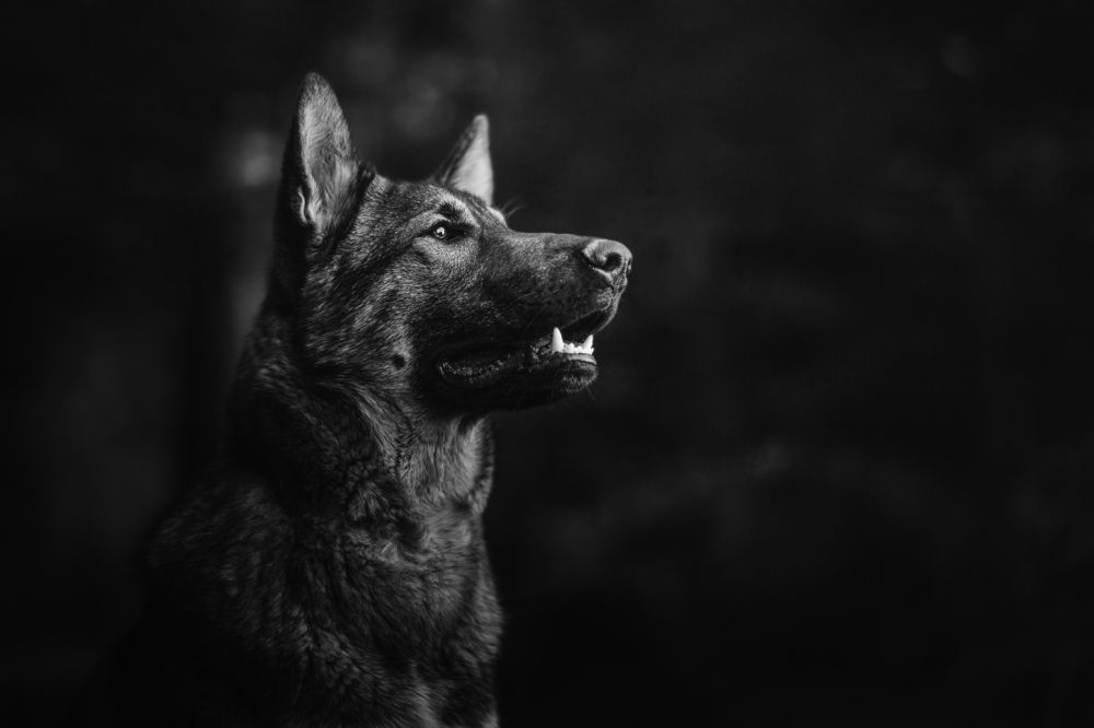 Photograph by Monika Kučerová