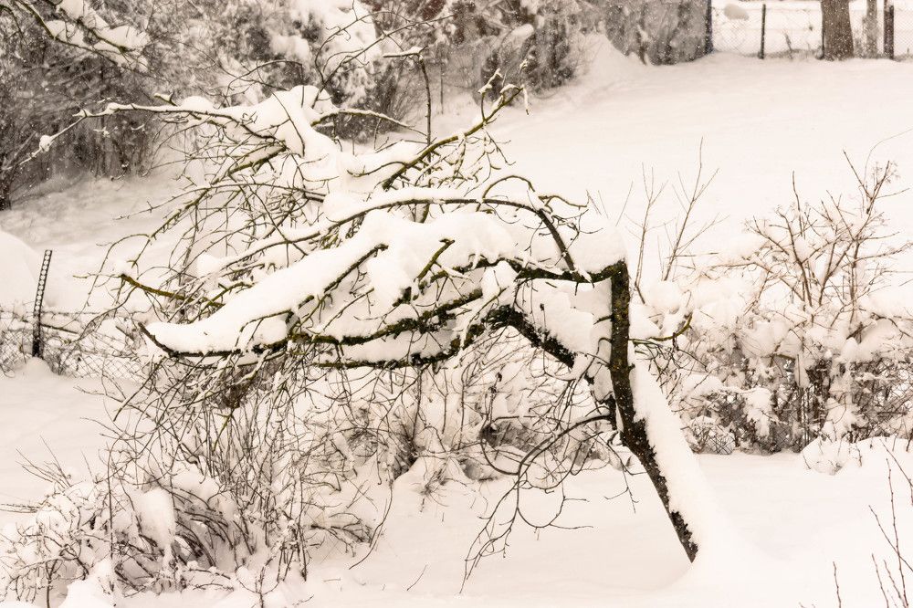 Photograph by Наталья Вялых