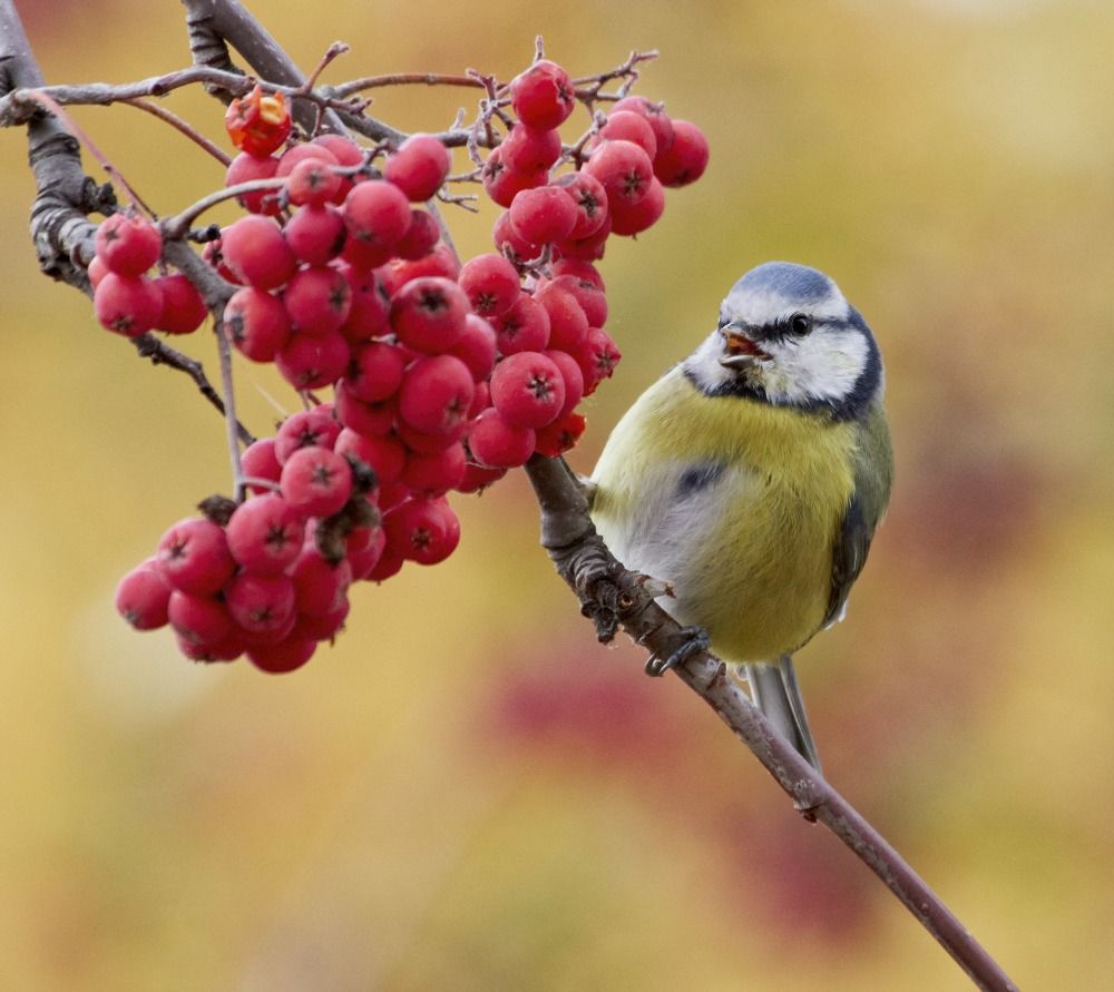 Счастливая -:))