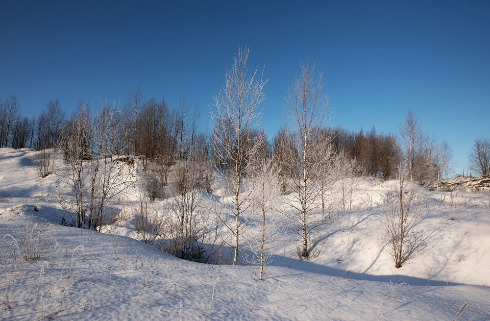 Photograph by Даркина Дарья