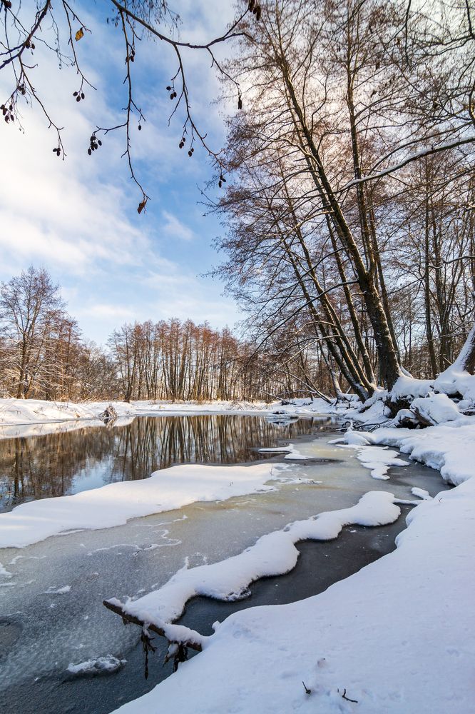 Photograph by Владимир Желтов