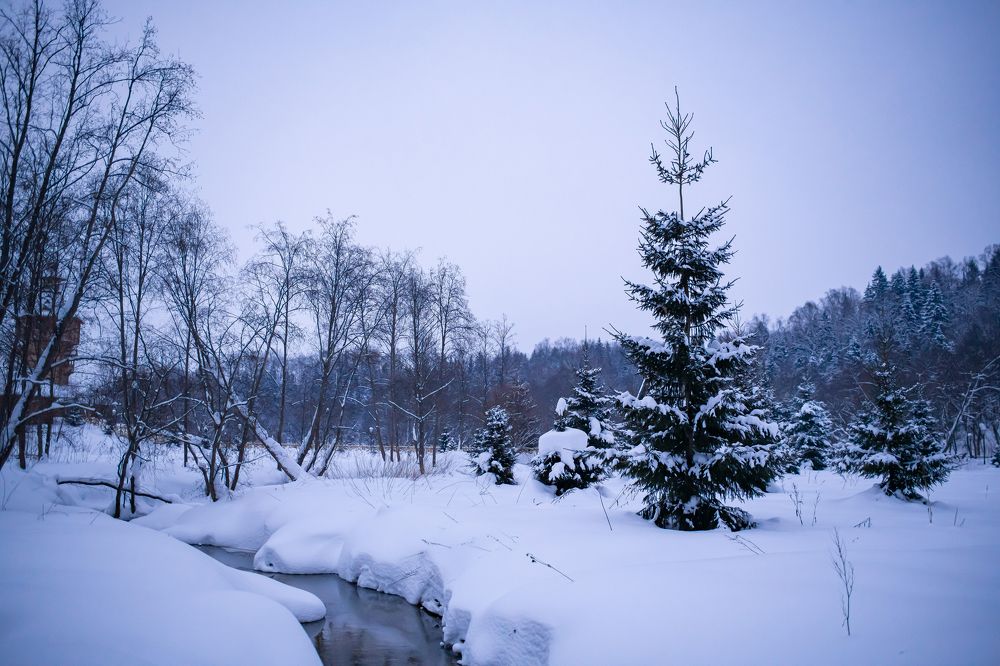 Photograph by Екатерина Часова