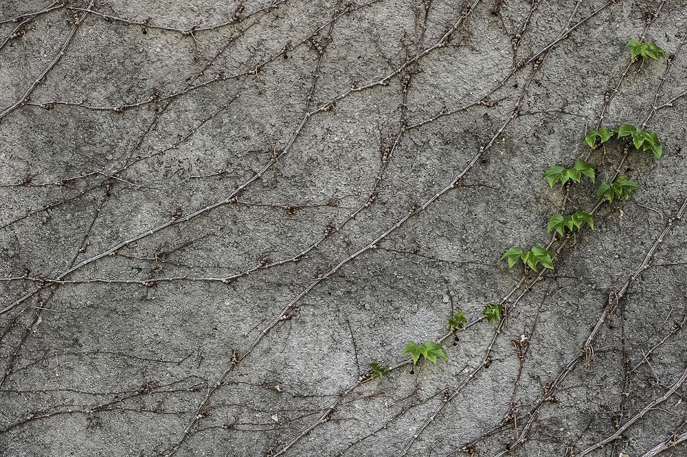 Фотография автора Seyede Elahe GHasemi