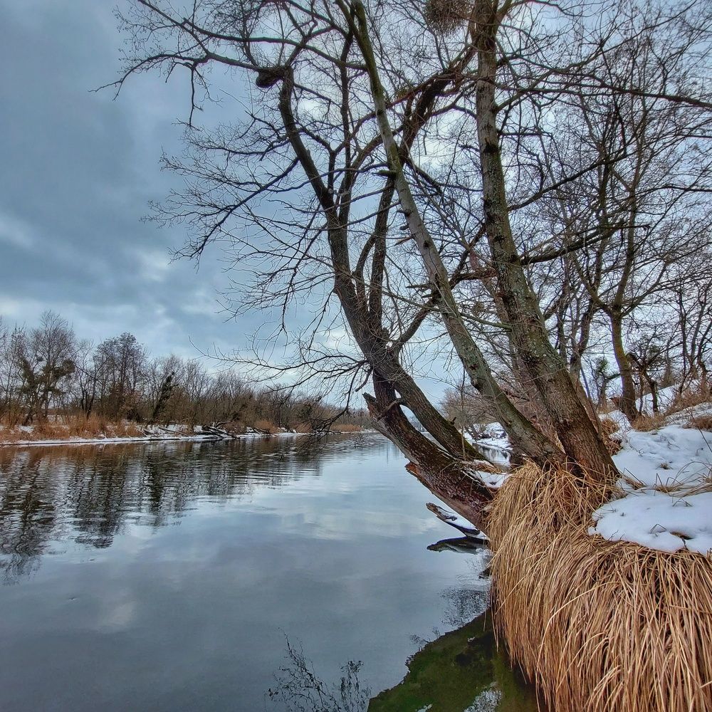 Photograph by Денис Шаповалов