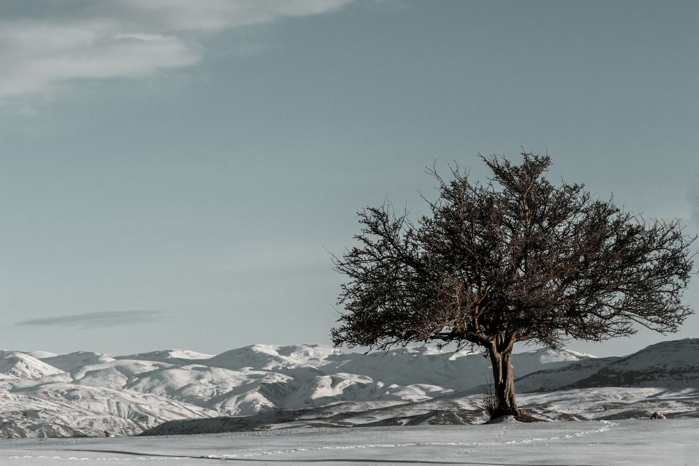 Photograph by soltanii setareh