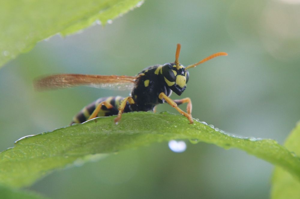 Фотография автора Анастасия Богдан