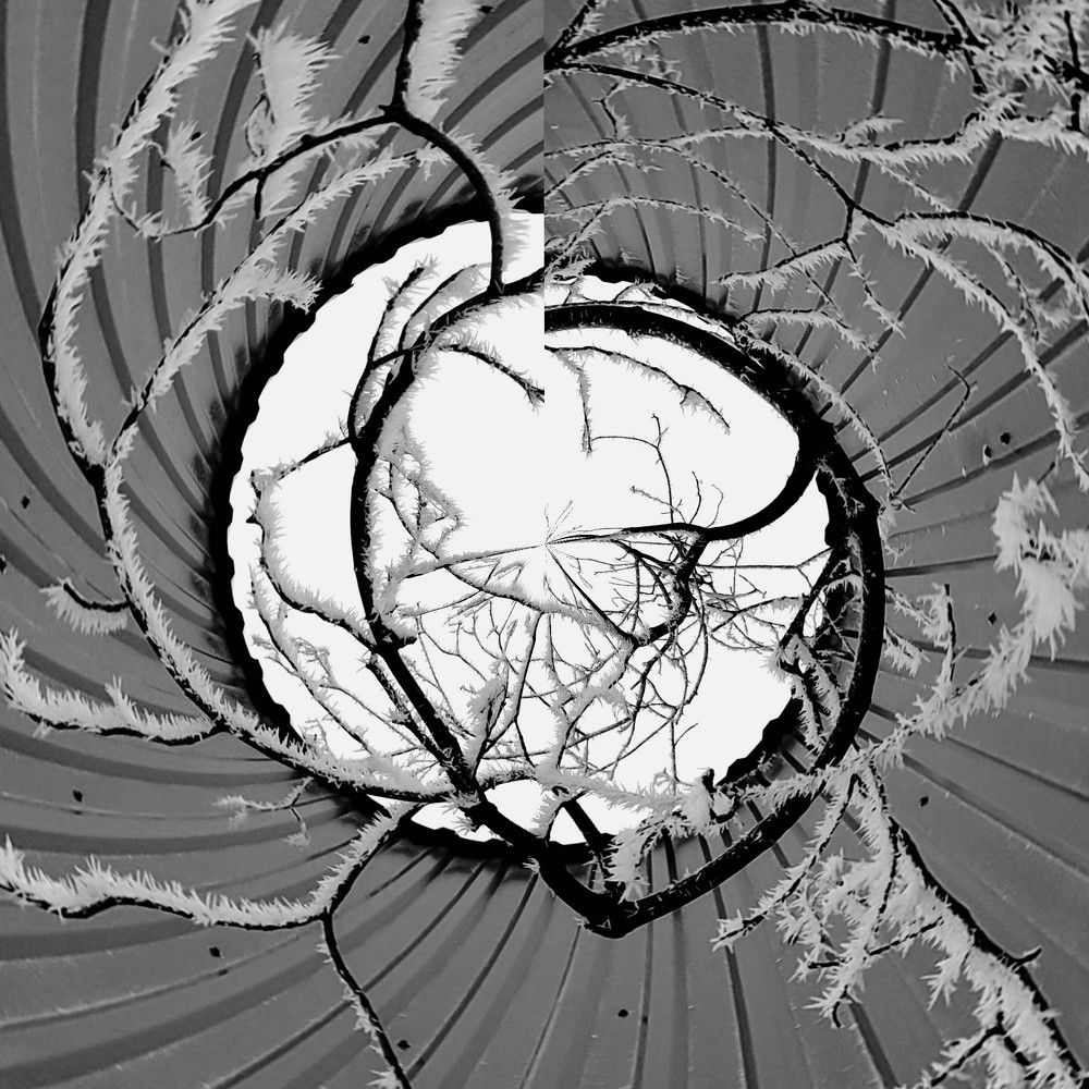 Photograph by Karina Yakovleva