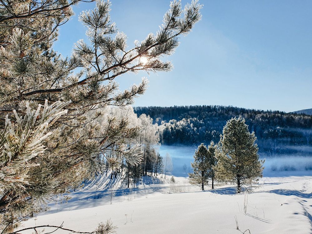 Photograph by Дьяченко Нина