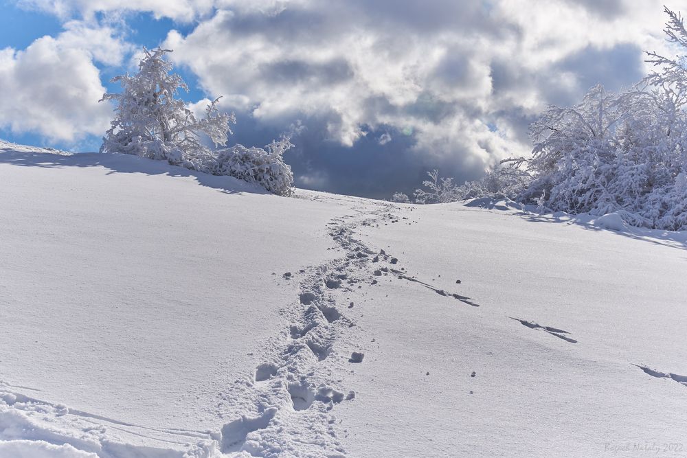 Photograph by Наталья Богач