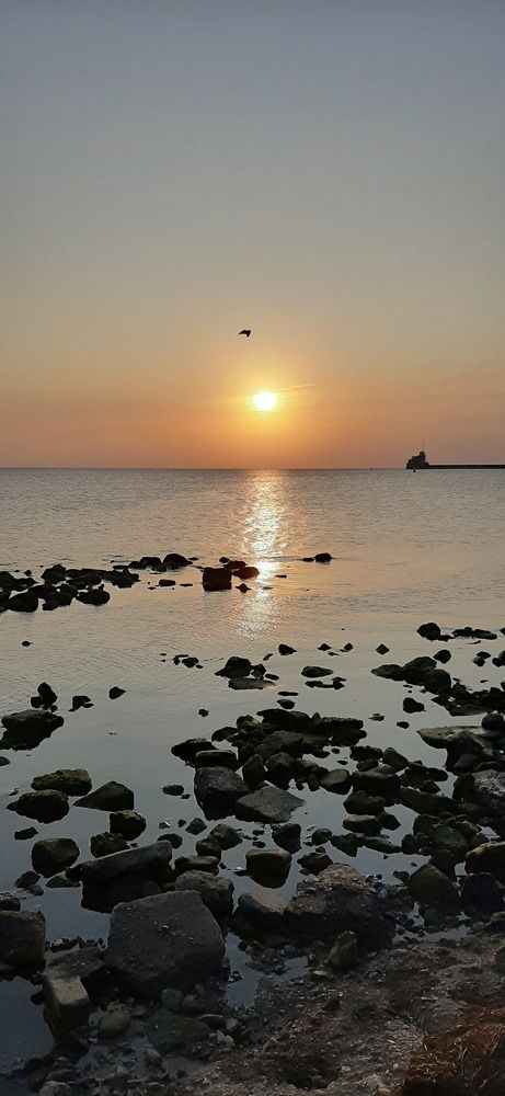 Фотография автора Алла Гончаренко