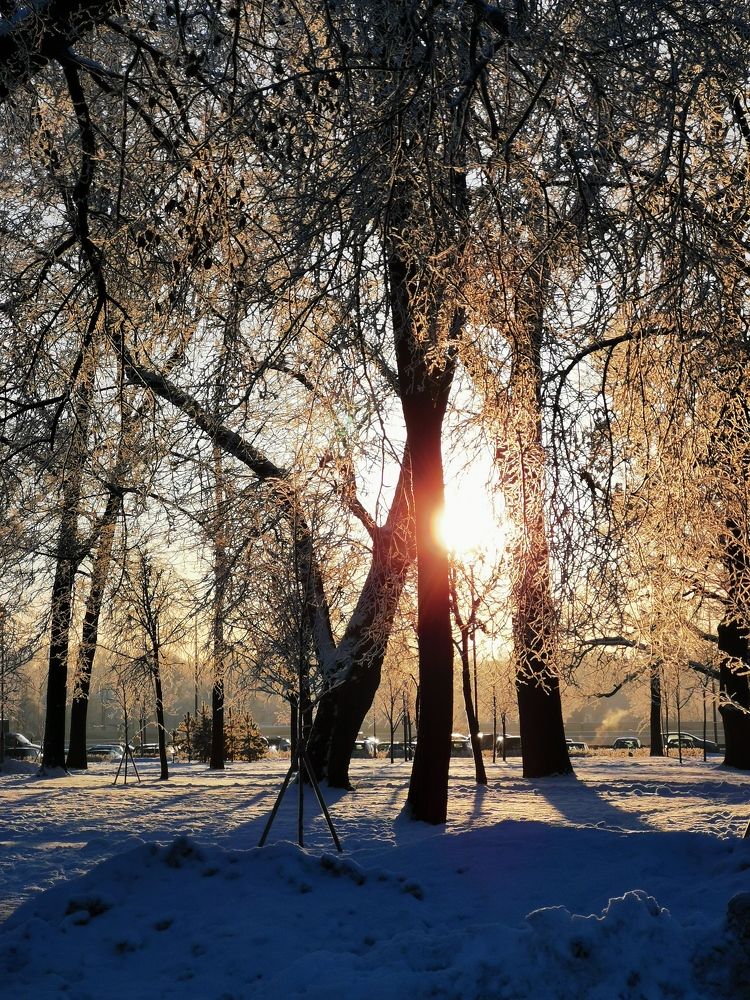 Photograph by Елена Акимова