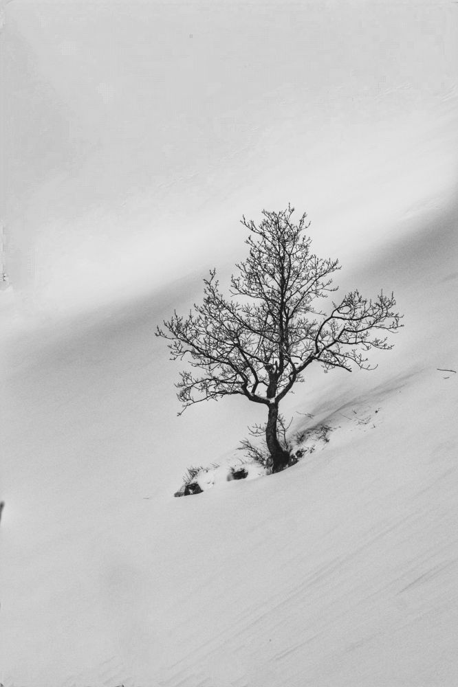 Photograph by Elijah Ishchenko