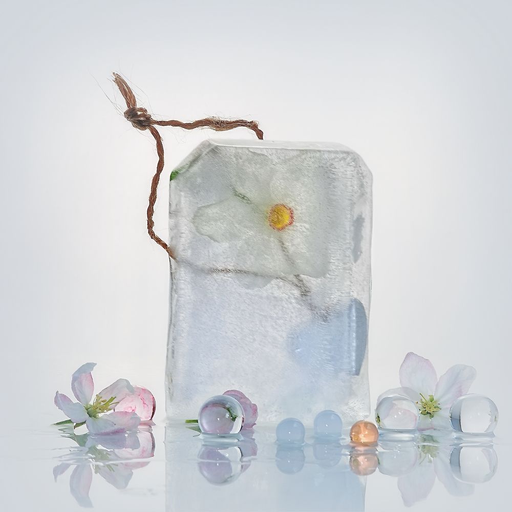 Photograph by Людмила Ефремова