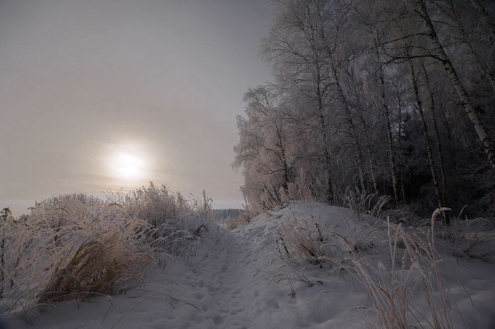 Photograph by Алексей Дивнич