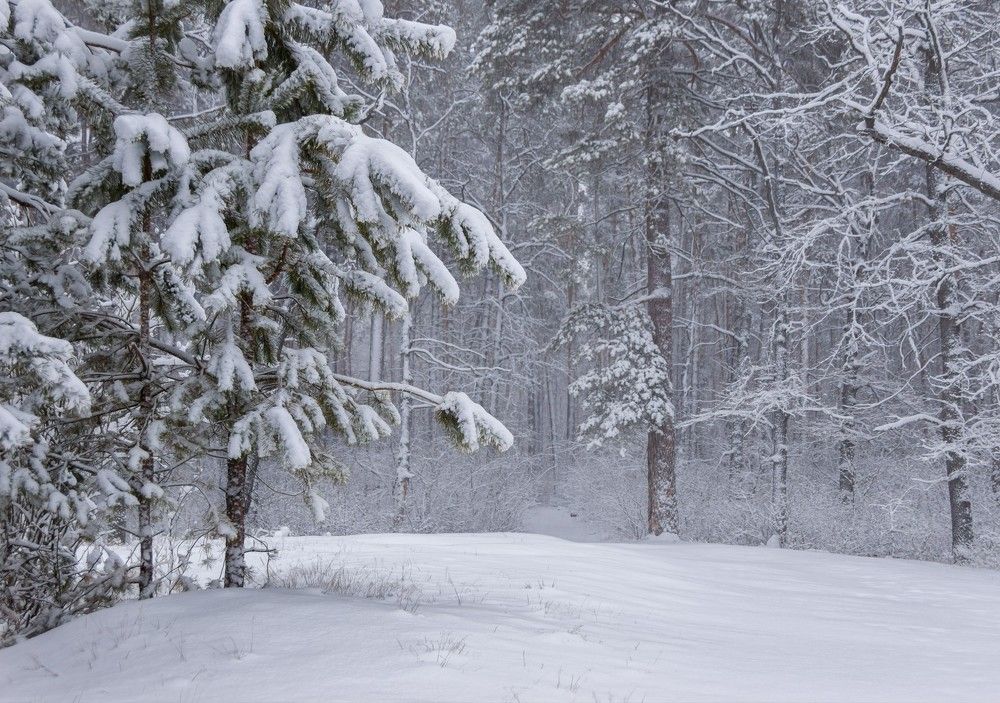 Фотография автора Валерий Лушин
