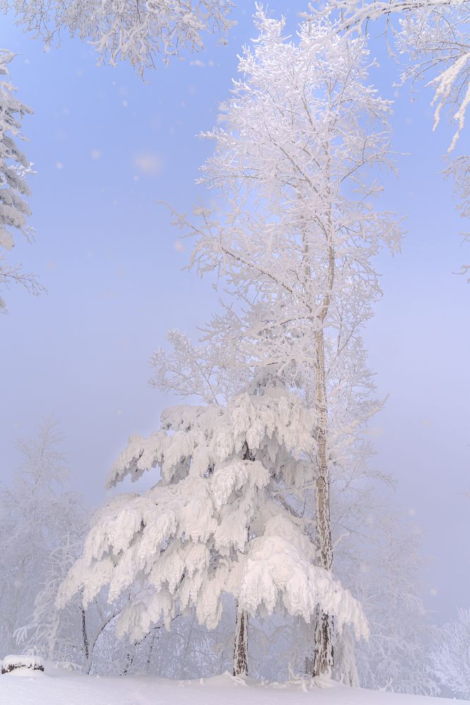 Photograph by Екатерина Дубровская