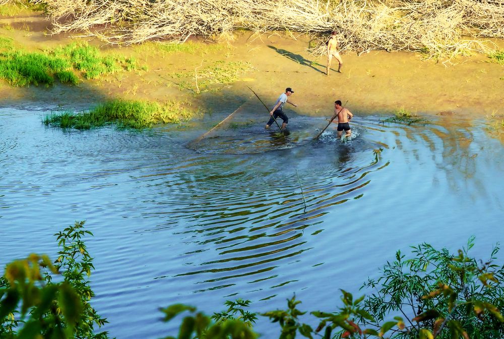 Хорошо пошла