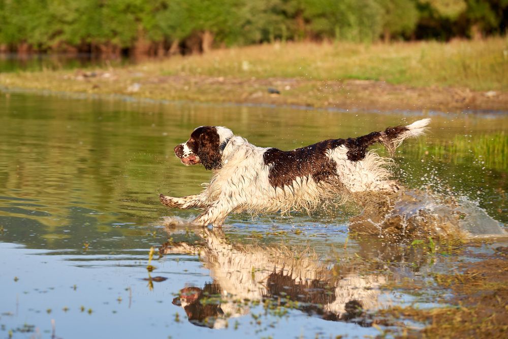 Photograph by Наталья Богач