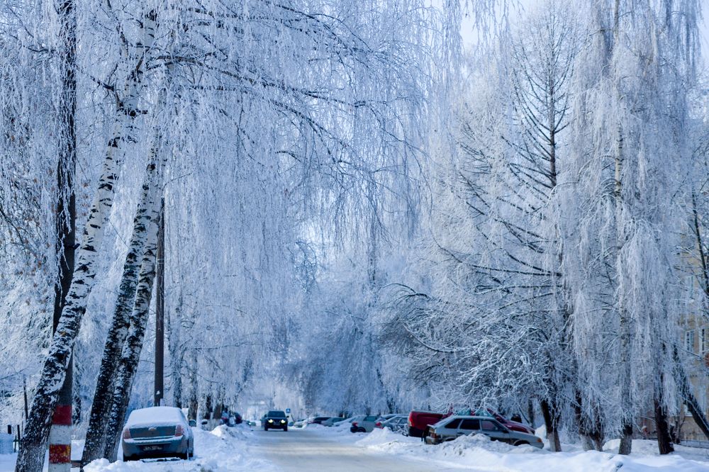 Photograph by Светлана Велиева