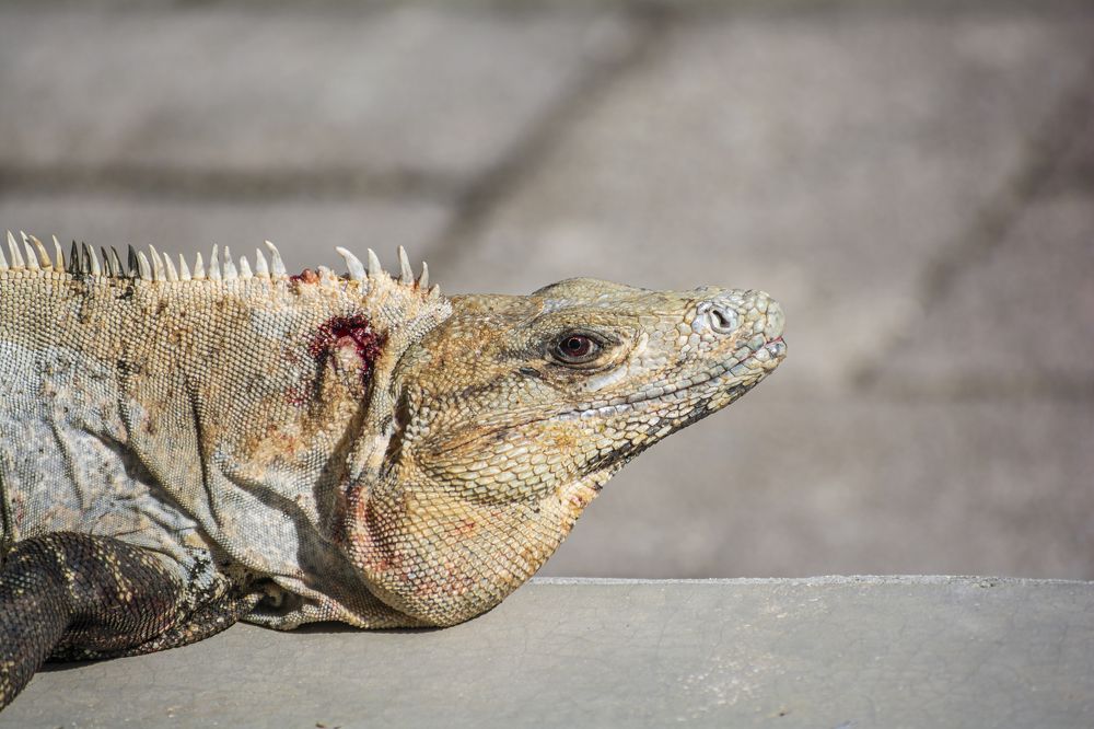 Photograph by Fernando Blancas Santos