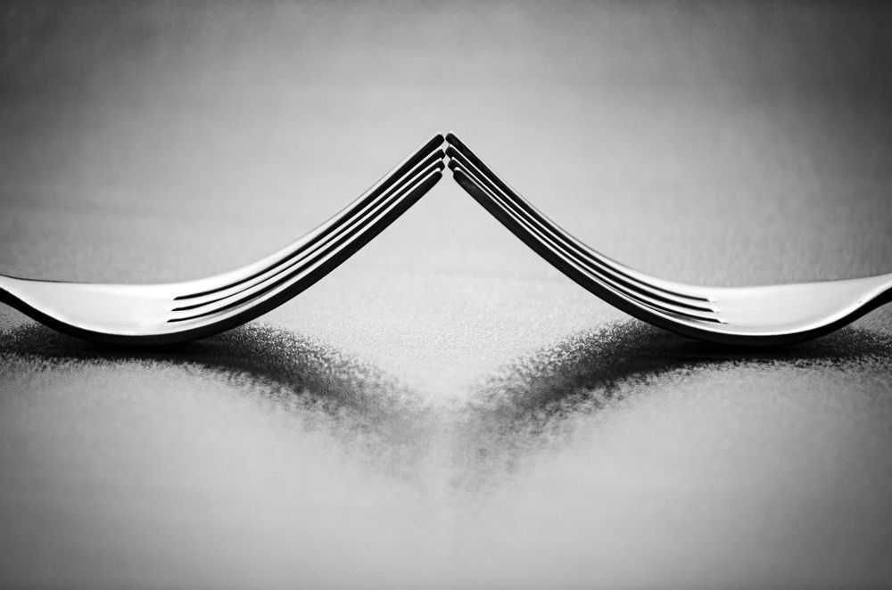 Photograph by Sahar Jafari