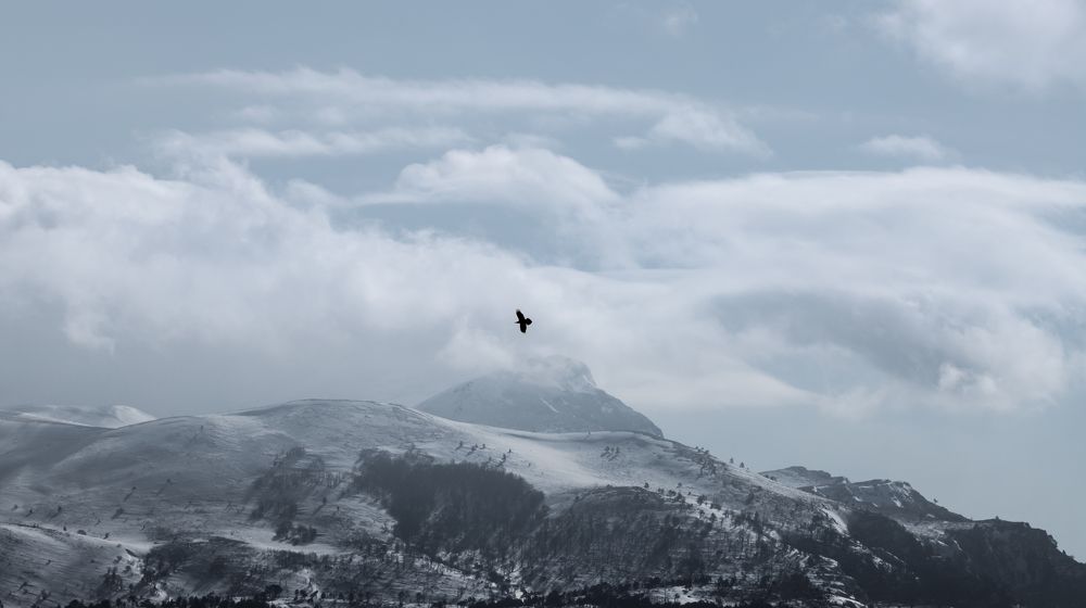 Photograph by Dejan Sajkovski