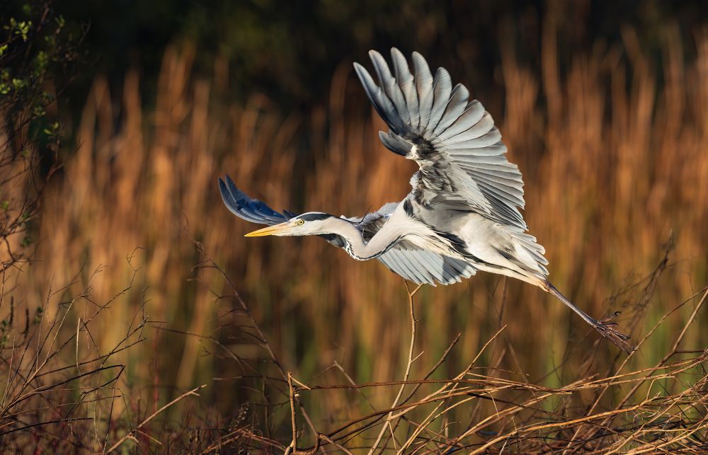 Photograph by Евгений Фруман