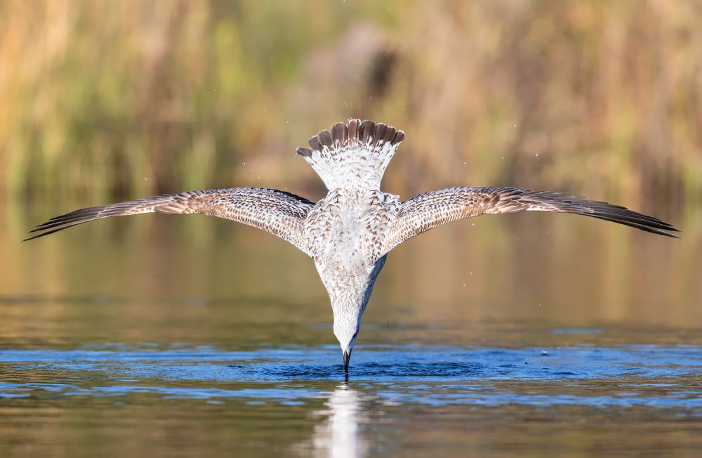 Photograph by Евгений Фруман