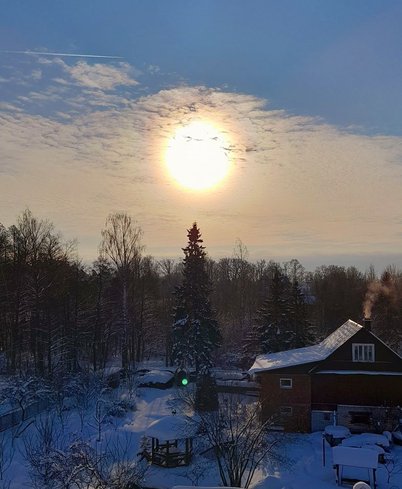 Photo #7188786