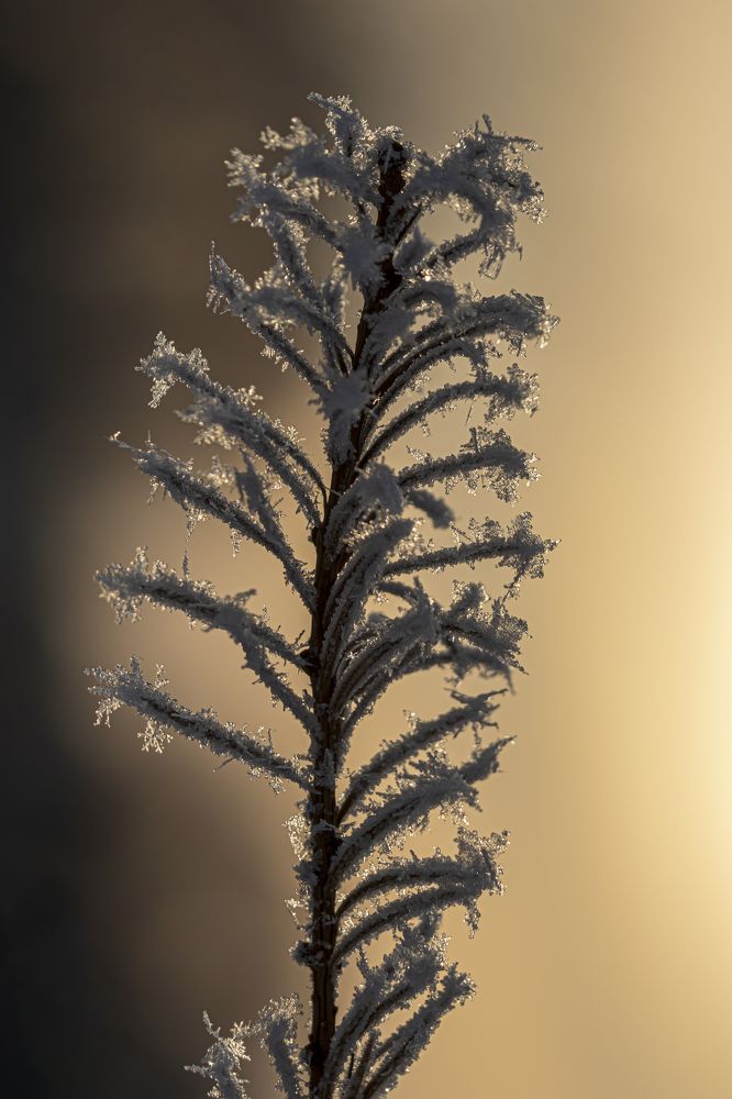 Photograph by Юлия Куликова