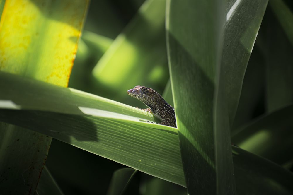 Photograph by Fernando Blancas Santos