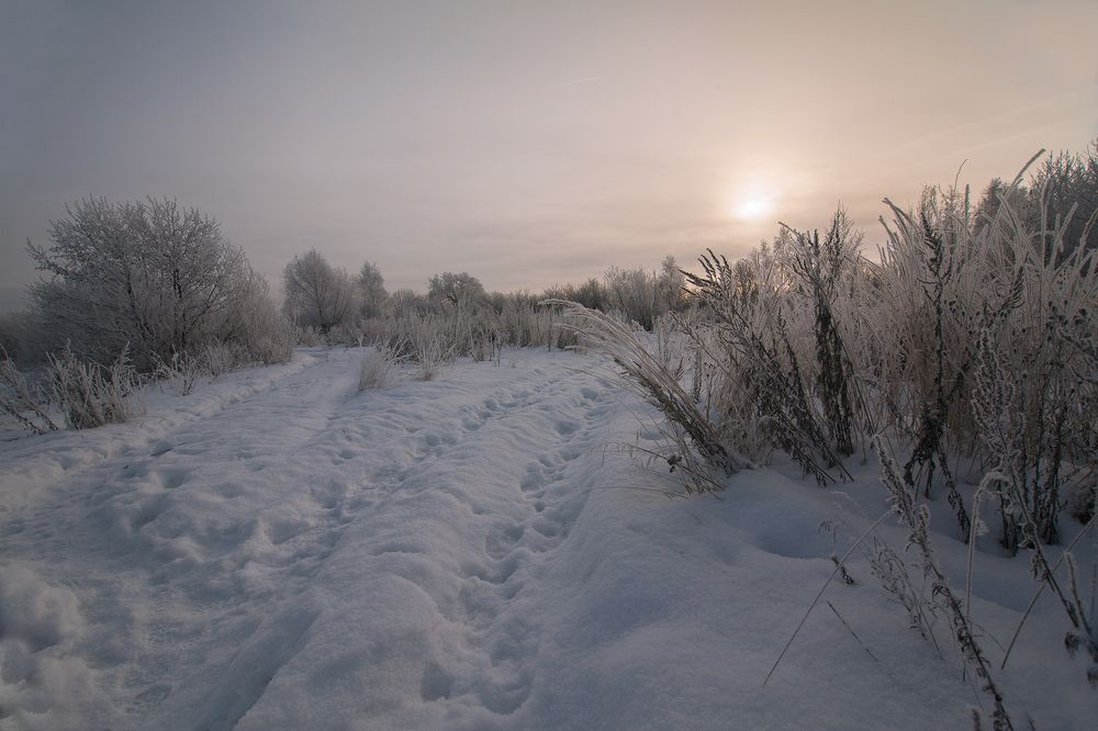 Photograph by Алексей Дивнич