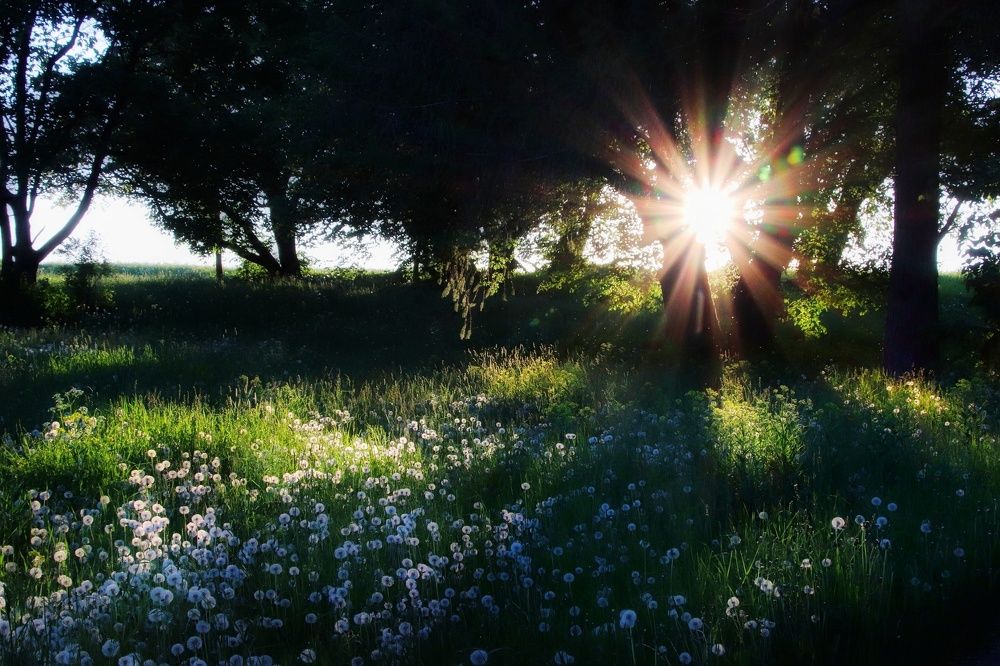 Photograph by Olga Asson