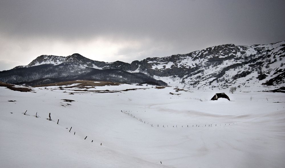 Photograph by muhamed borovic