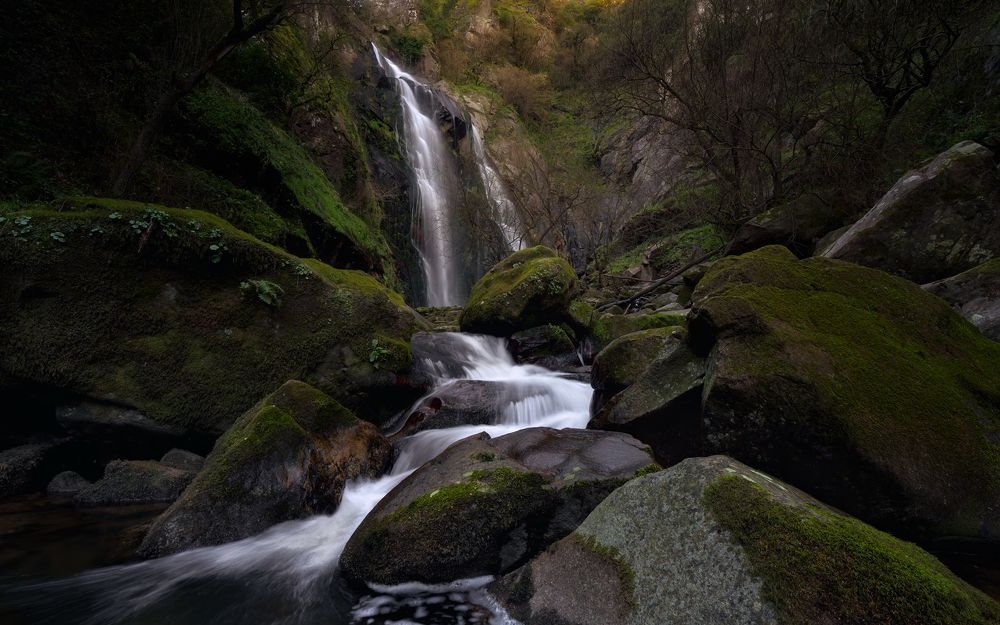 Photograph by Roberto