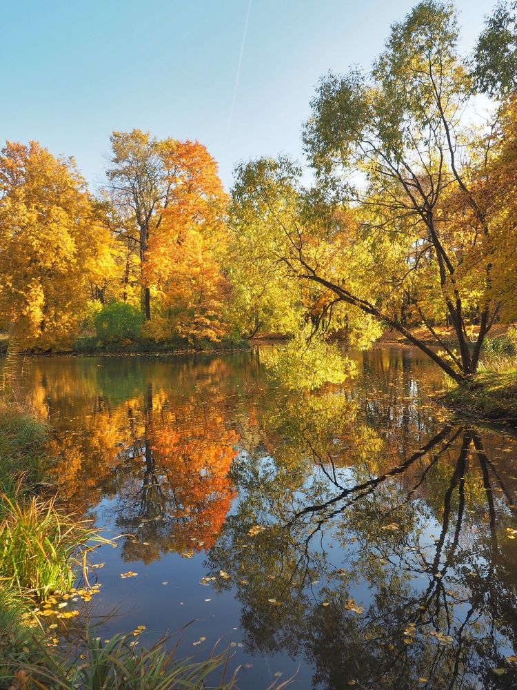Photograph by Игорь Пахоруков