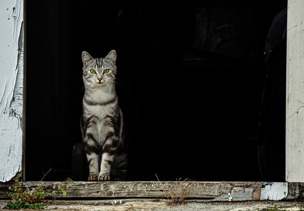 Photograph by LYUDMYLA POKRYSHEN