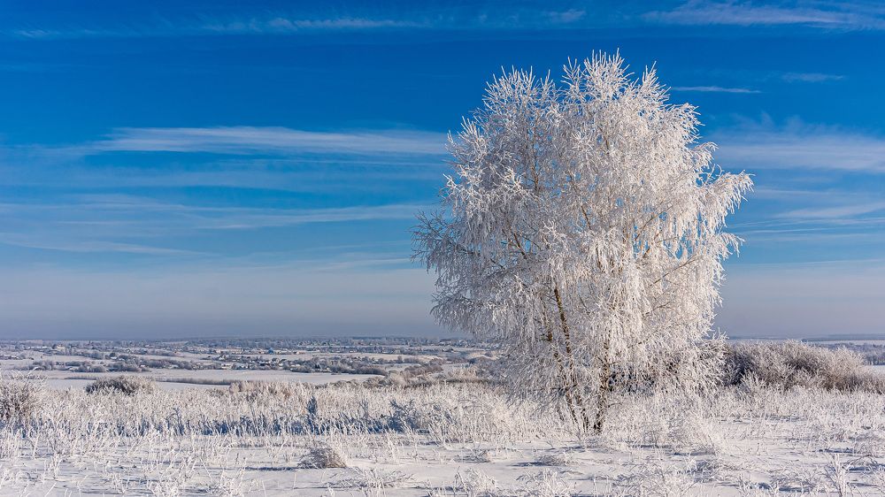 Фотография автора Николай Бологов