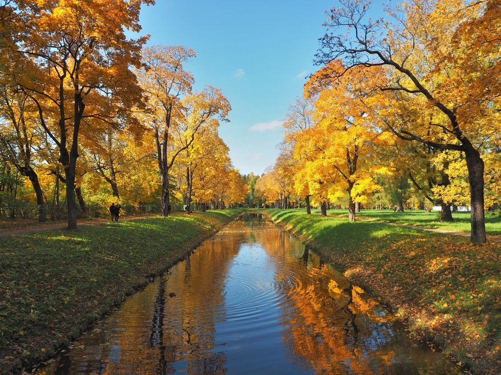 Photograph by Игорь Пахоруков