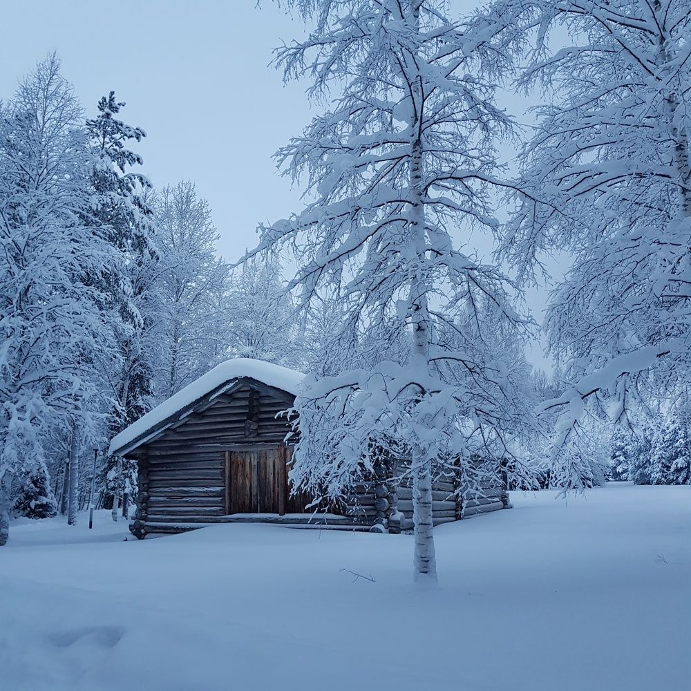Русская зима