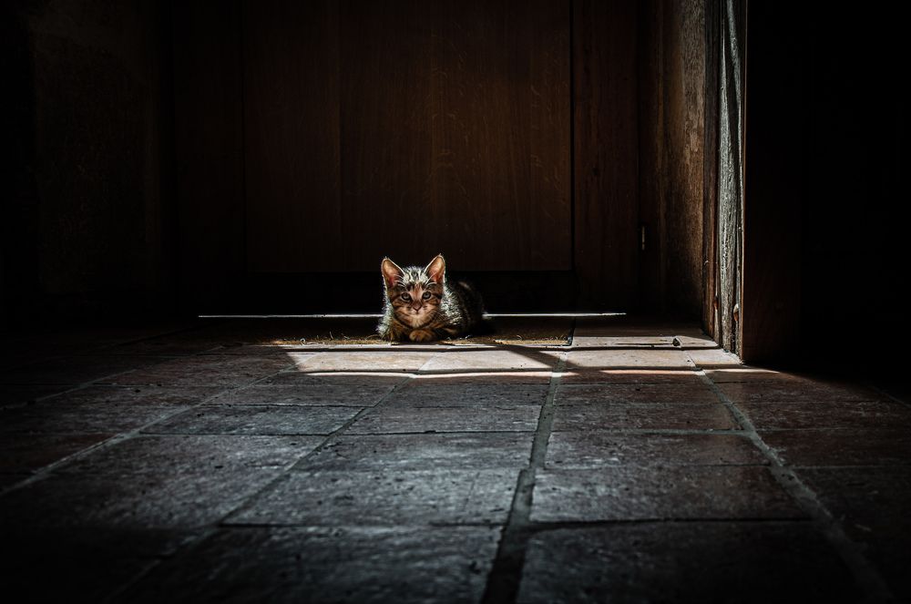 Photograph by LYUDMYLA POKRYSHEN