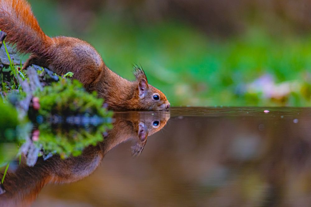 Photograph by Ellen Lichtenheldt