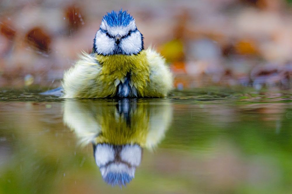 Photograph by Ellen Lichtenheldt