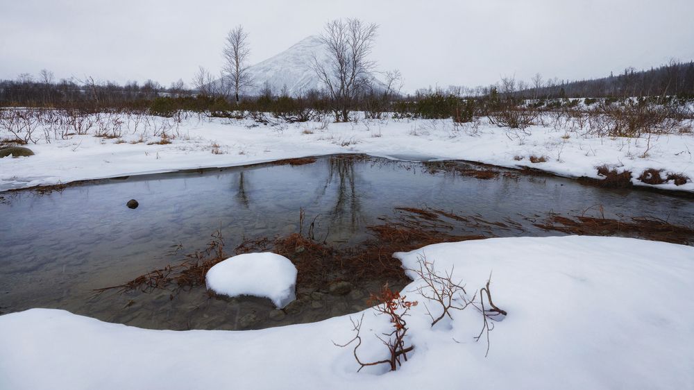 Photograph by ОЛЬГА КОВАЛЁВА