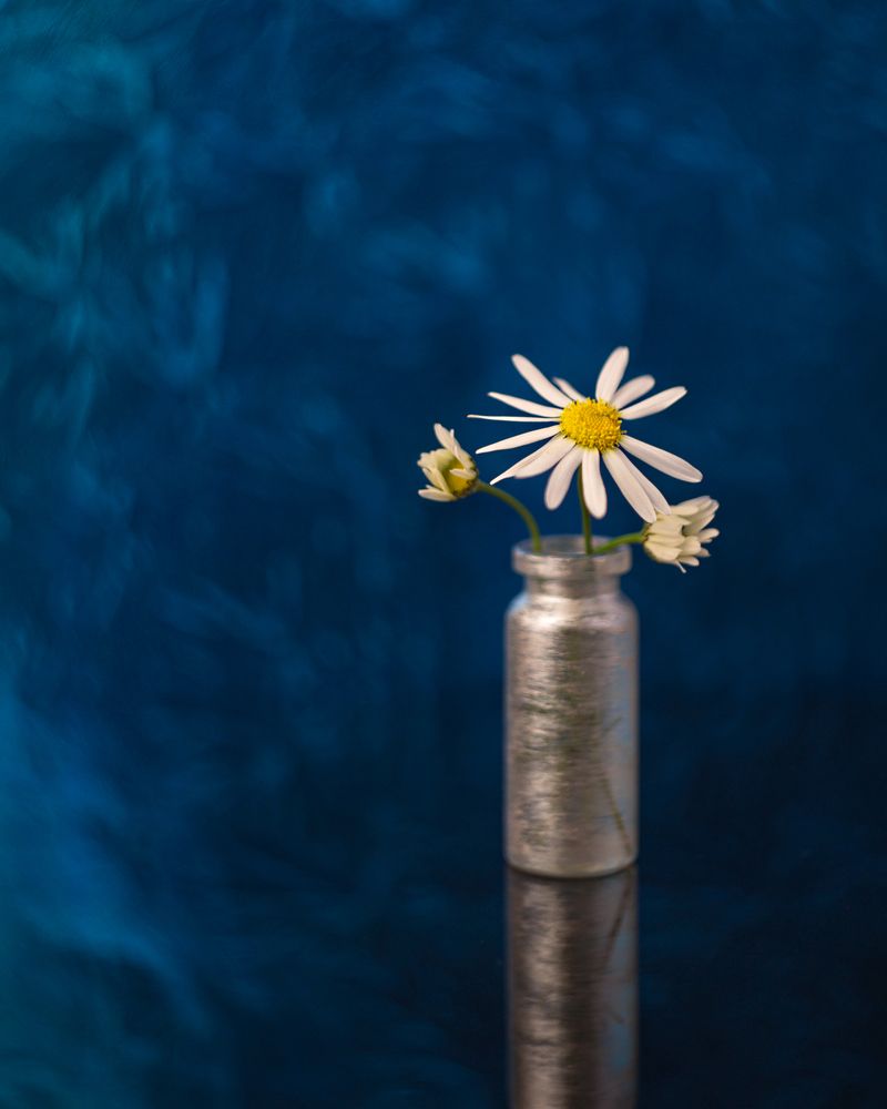 Photograph by Людмила Ефремова