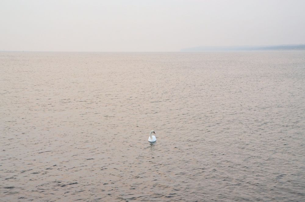 Photograph by Galina Baranovskaja