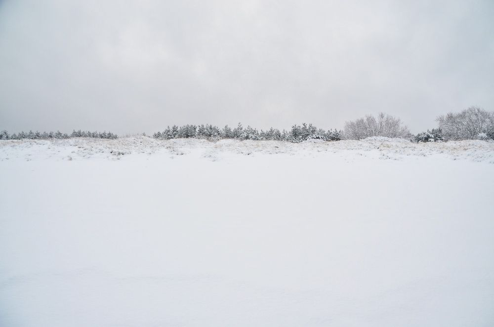 Photograph by Galina Baranovskaja