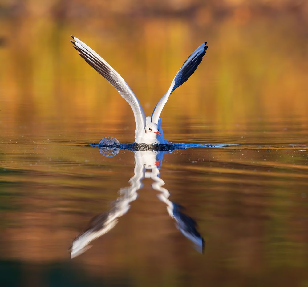 Photograph by Евгений Фруман
