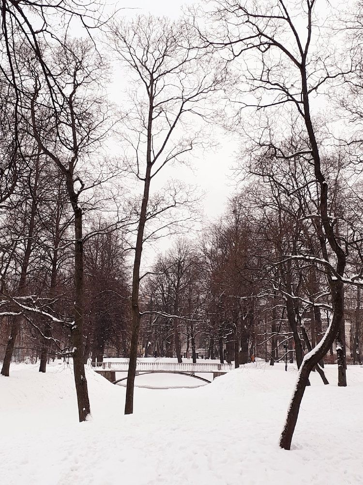 Photograph by Евгения Ульянова